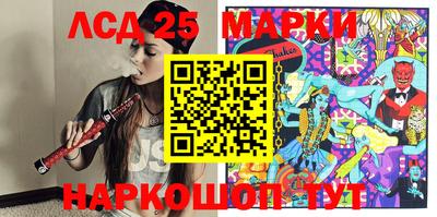 гашик Донской