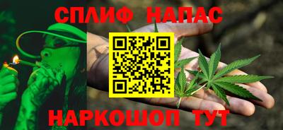 гашик Донской