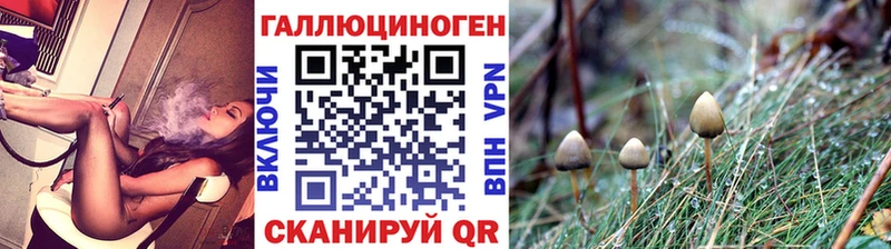 Галлюциногенные грибы Magic Shrooms  как найти закладки  Югорск 