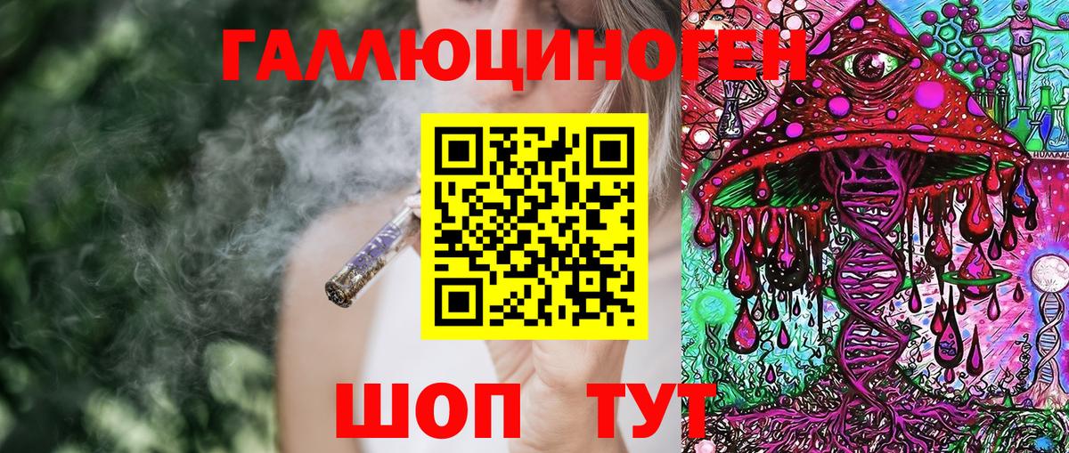 Псилоцибиновые грибы Psilocybine cubensis Югорск