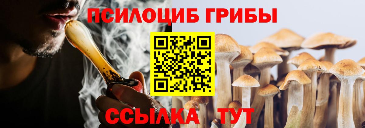 Псилоцибиновые грибы GOLDEN TEACHER  магазин  наркотиков  Югорск 
